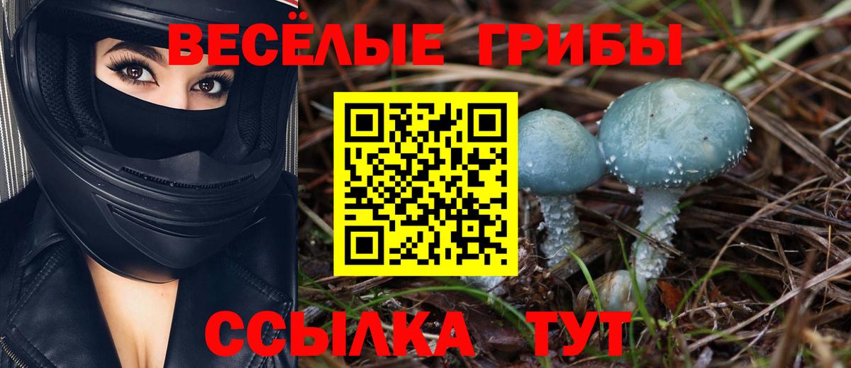 Новочеркасск  Галлюциногенные грибы Cubensis  Вход с VPN 