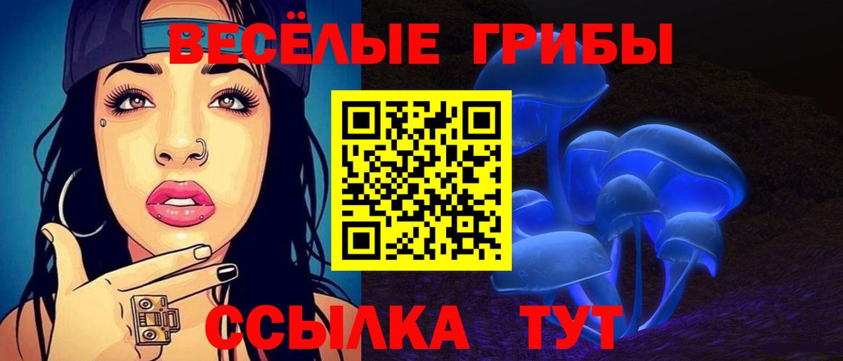 Псилоцибиновые грибы ЛСД Новочеркасск